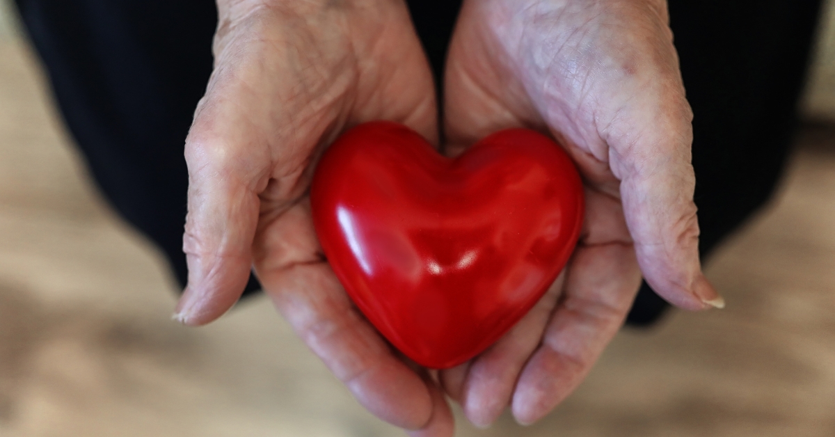 A Comprehensive Guide To Grants for Elderly Care Services